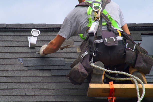 Best Storm Damage Roof Repair  in Versailles, IN