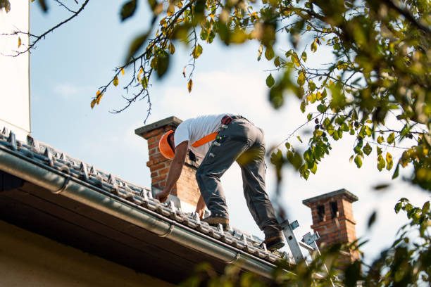 Best Best Roofing Contractors  in Versailles, IN